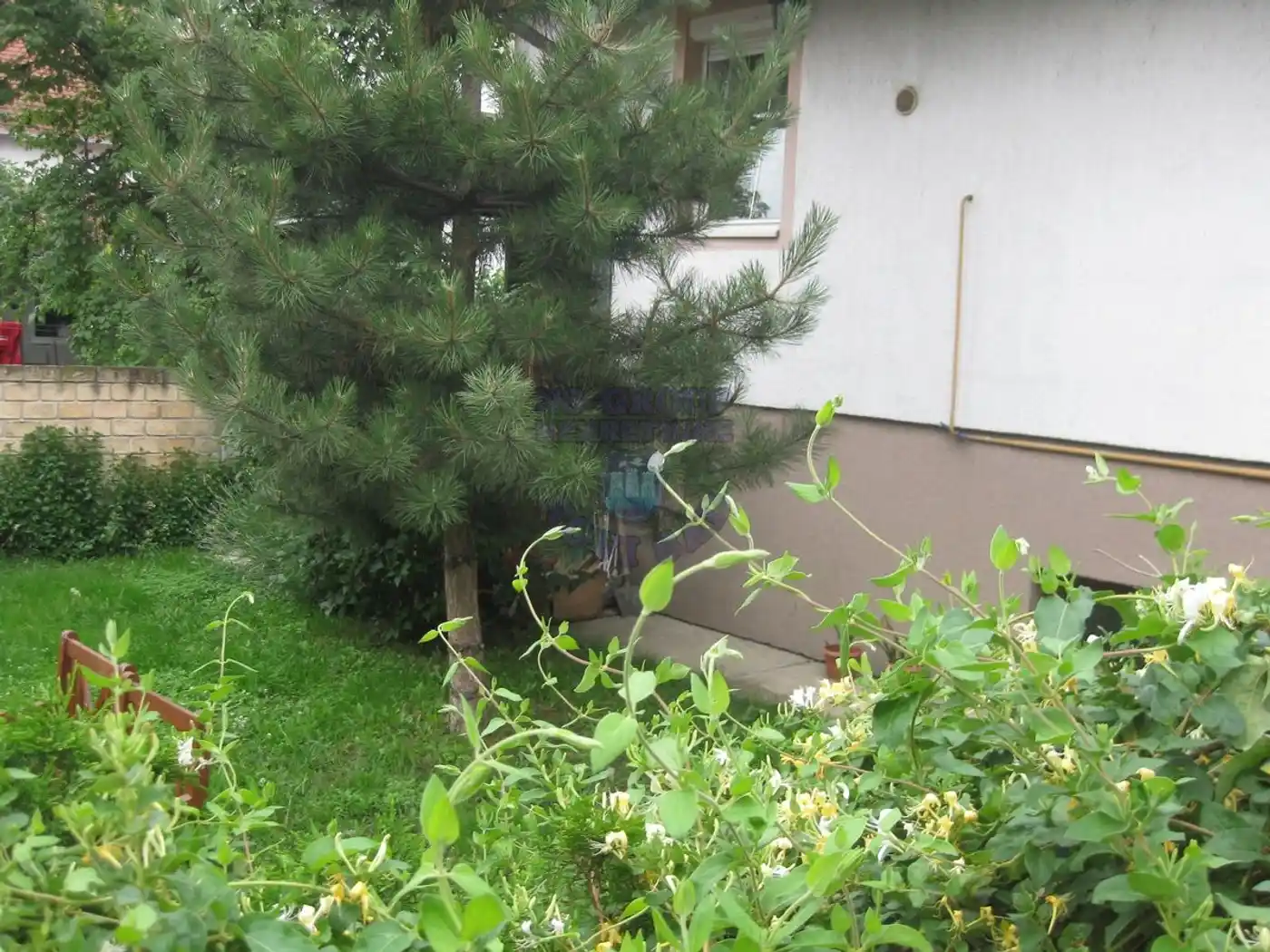 kuca na prodaju Veternik 320m2 368674