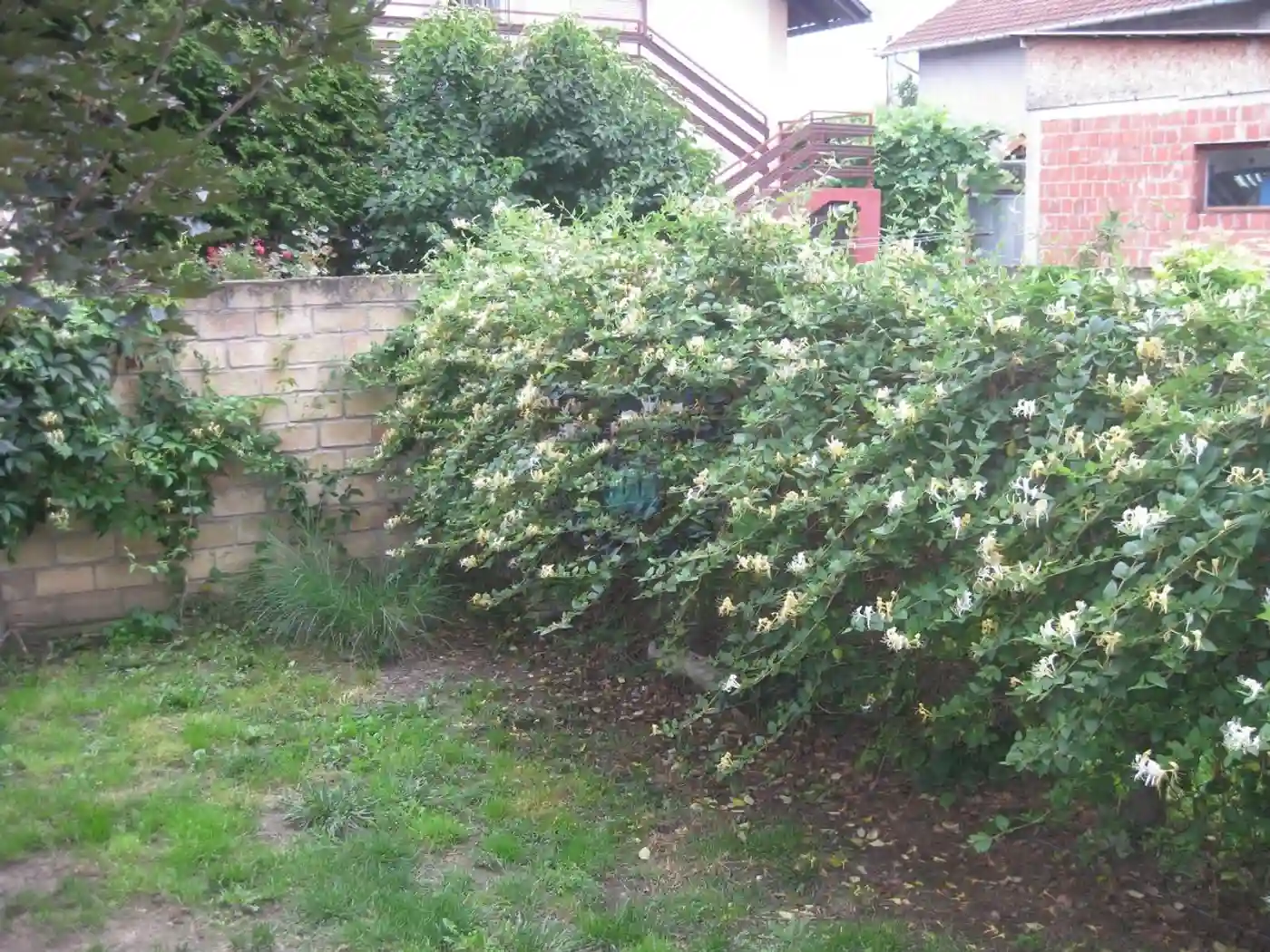 kuca na prodaju Veternik 320m2 368674