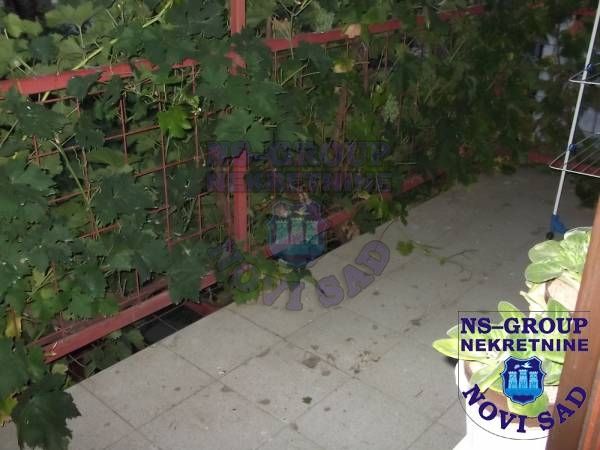 kuca na prodaju Veternik 230m2 366541