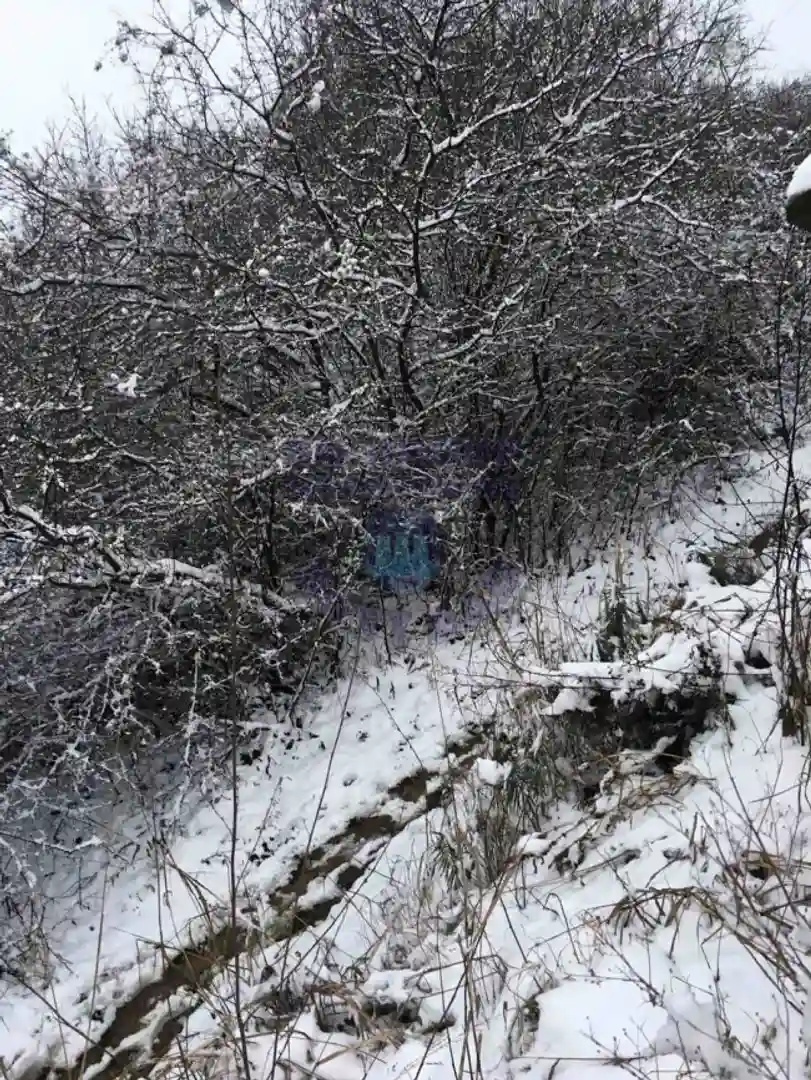 plac na prodaju Sremski Karlovci, 3201m2 267477