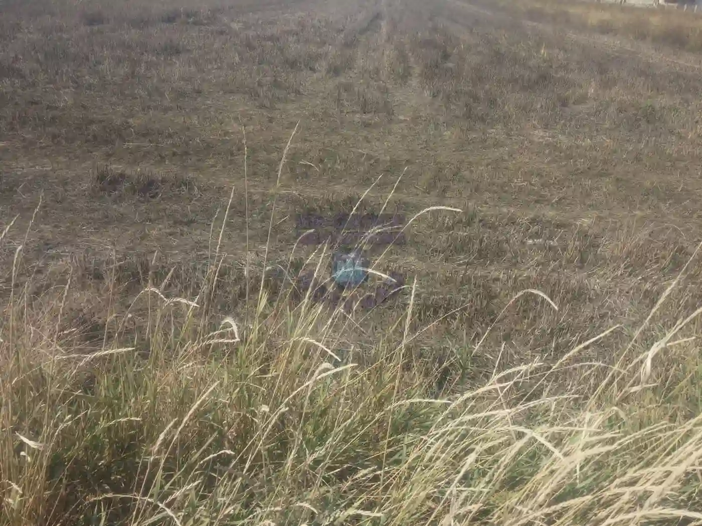 plac na prodaju Novi Sad, 5437m2 213327