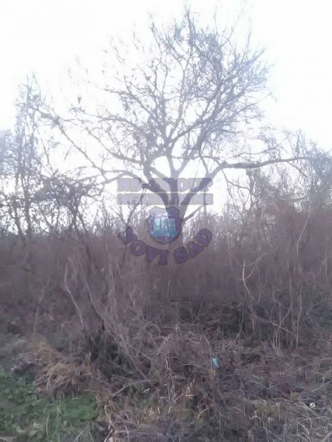 plac na prodaju Ledinci 3400m2 397776