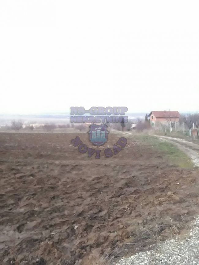 plac na prodaju Ledinci 3400m2 397776
