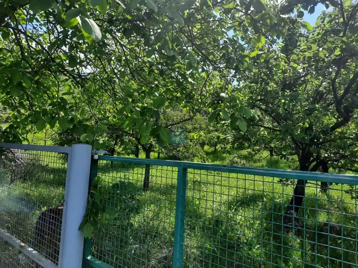 plac na prodaju Sremska Kamenica 3284m2 402195