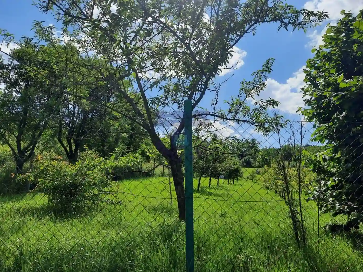 plac na prodaju Sremska Kamenica, 3284m2 402195