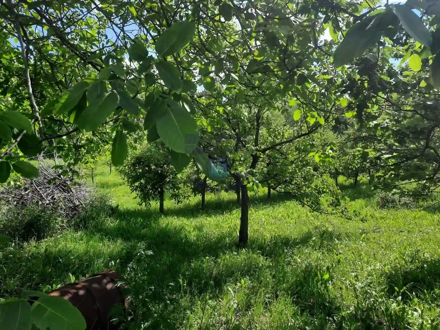 plac na prodaju Sremska Kamenica 3284m2 402195