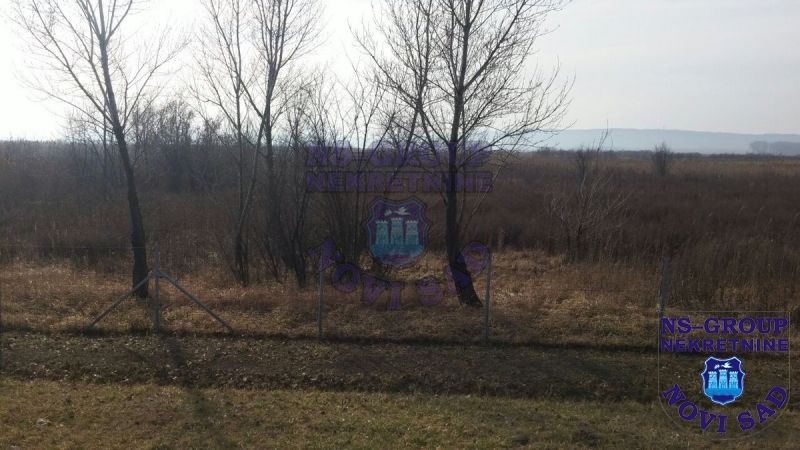 plac na prodaju Kać, 6973m2 405477