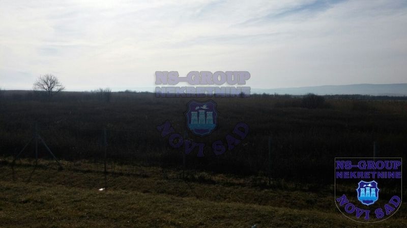 plac na prodaju Kovilj 5995m2 405492