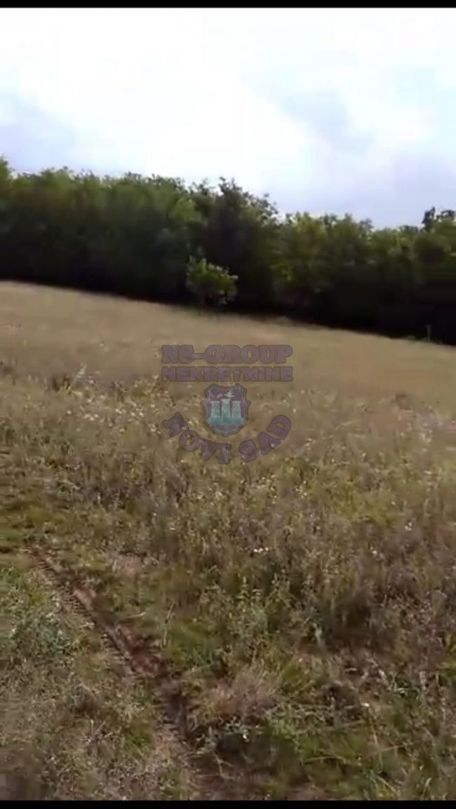 plac na prodaju Vrdnik 1085m2 411260