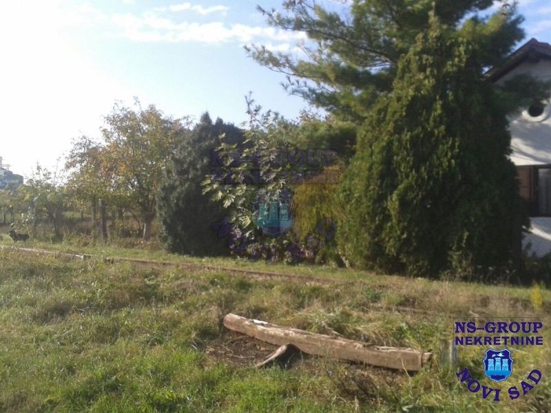 plac na prodaju Čurug, 220m2 412967