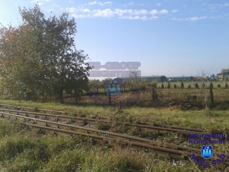 plac na prodaju Čurug 2436m2 412972