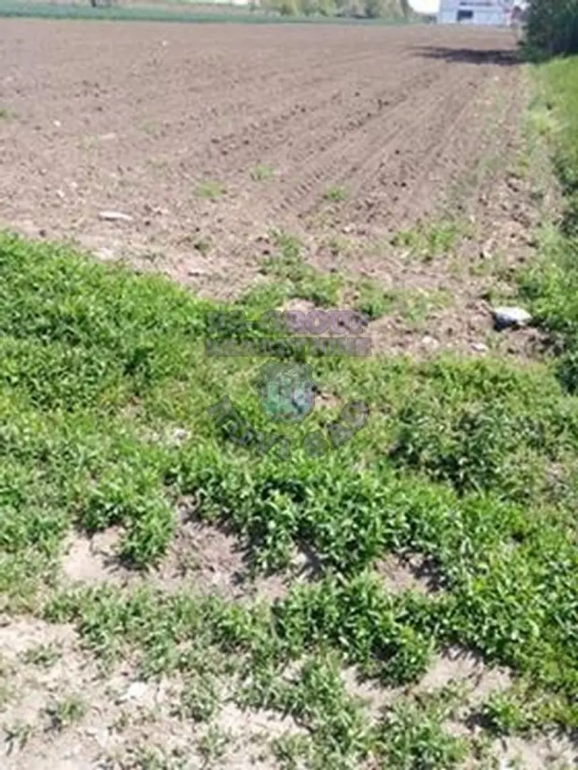 plac na prodaju Rumenka, 6240m2 415591