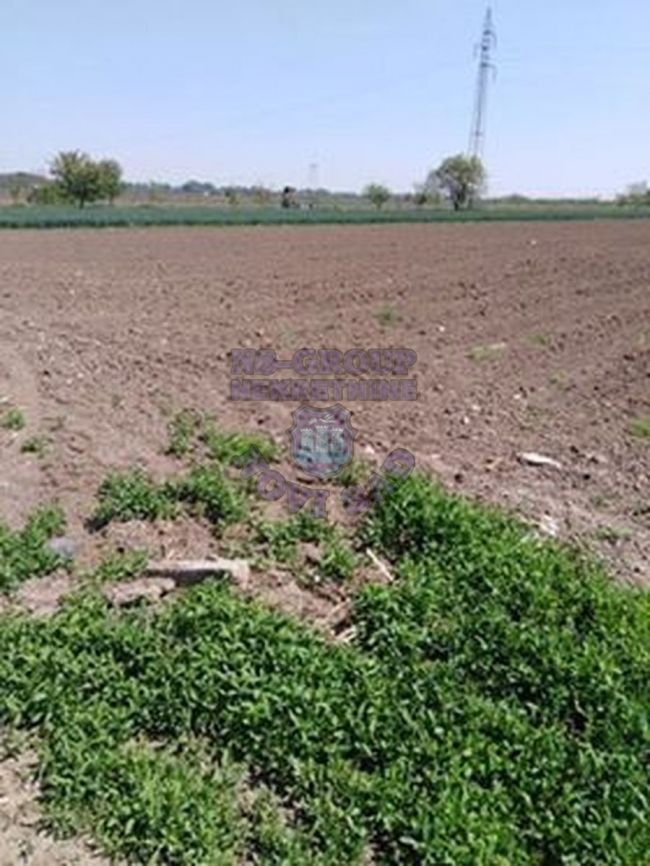 plac na prodaju Rumenka, 11450m2 415592