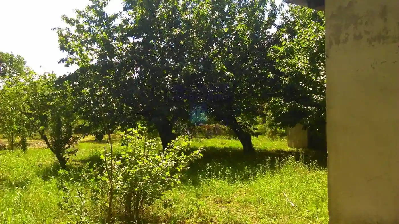 kuca na prodaju Sremski Karlovci 42m2 416399