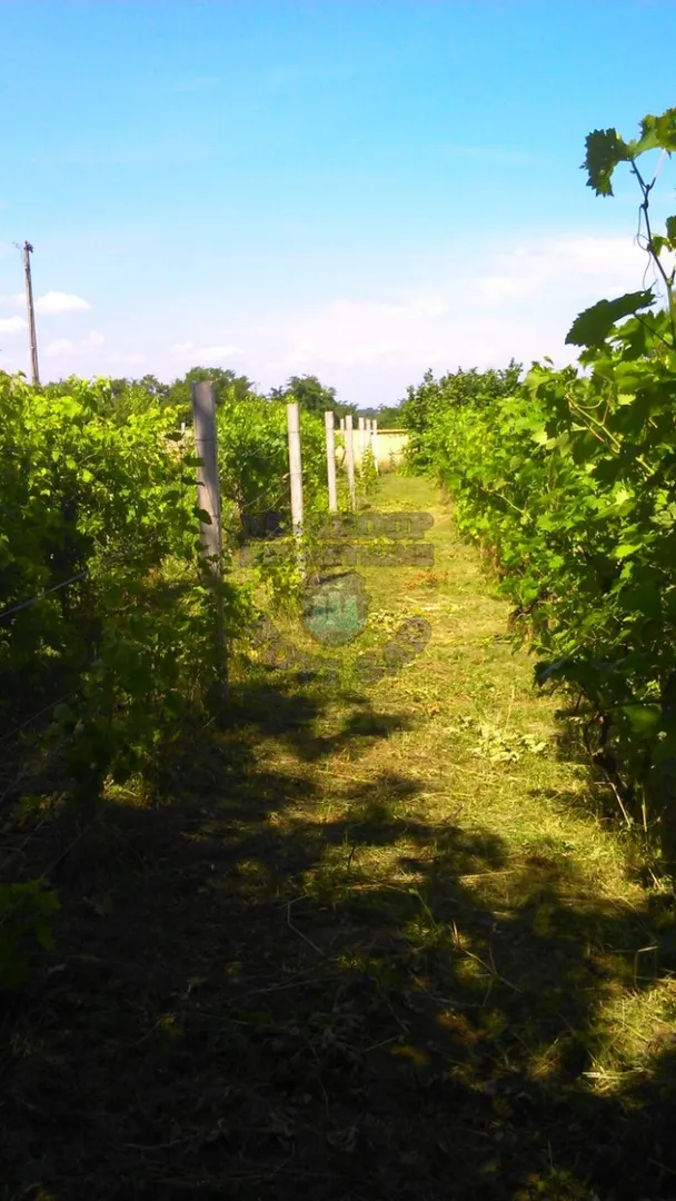 kuca na prodaju Sremski Karlovci 42m2 416399