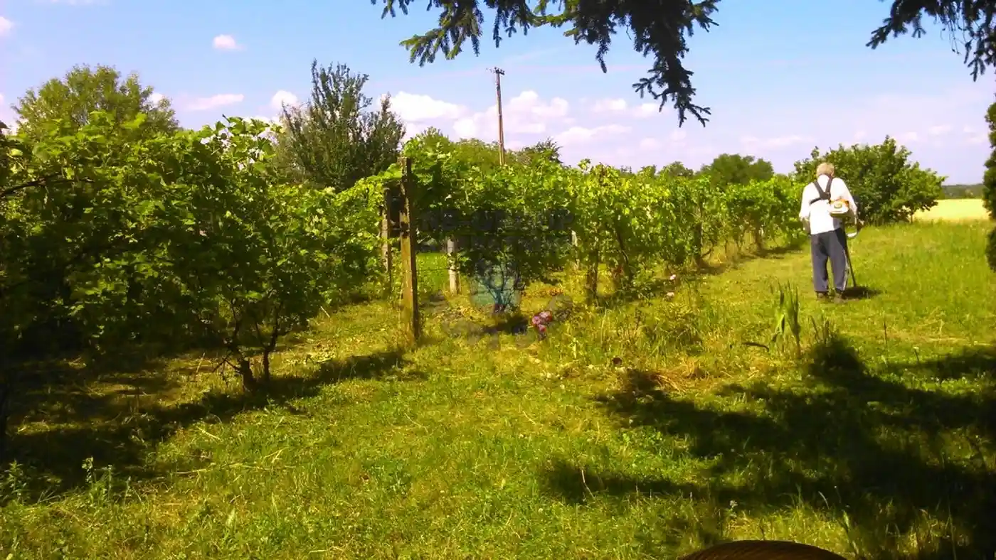kuca na prodaju Sremski Karlovci 42m2 416399