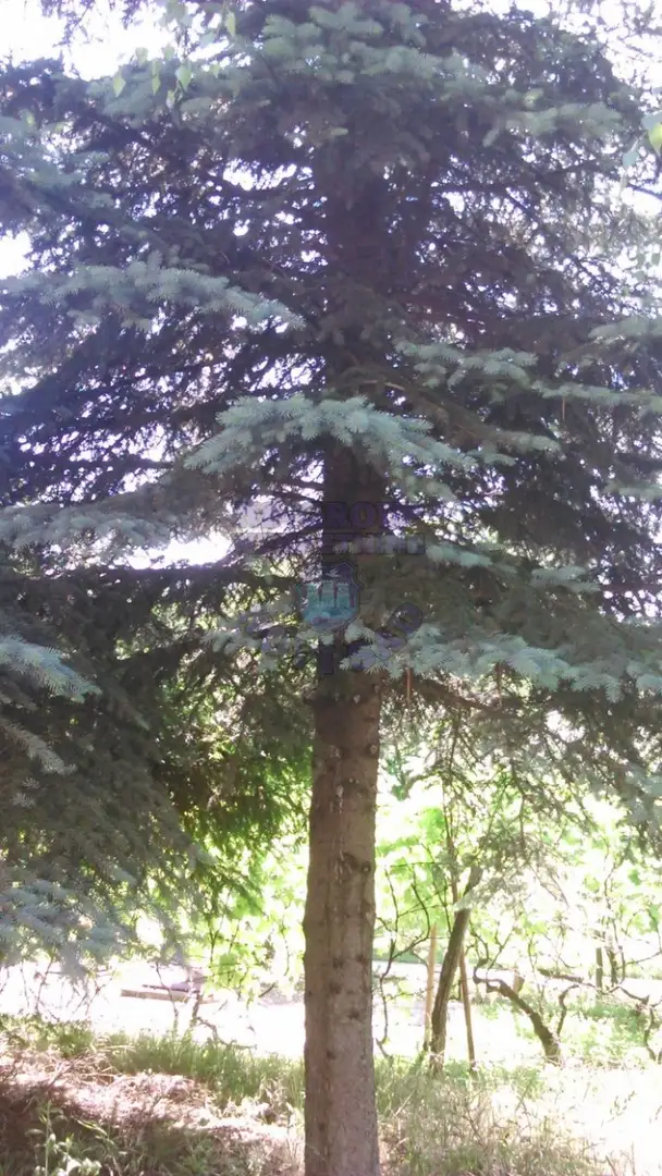 kuca na prodaju Sremski Karlovci 42m2 416399