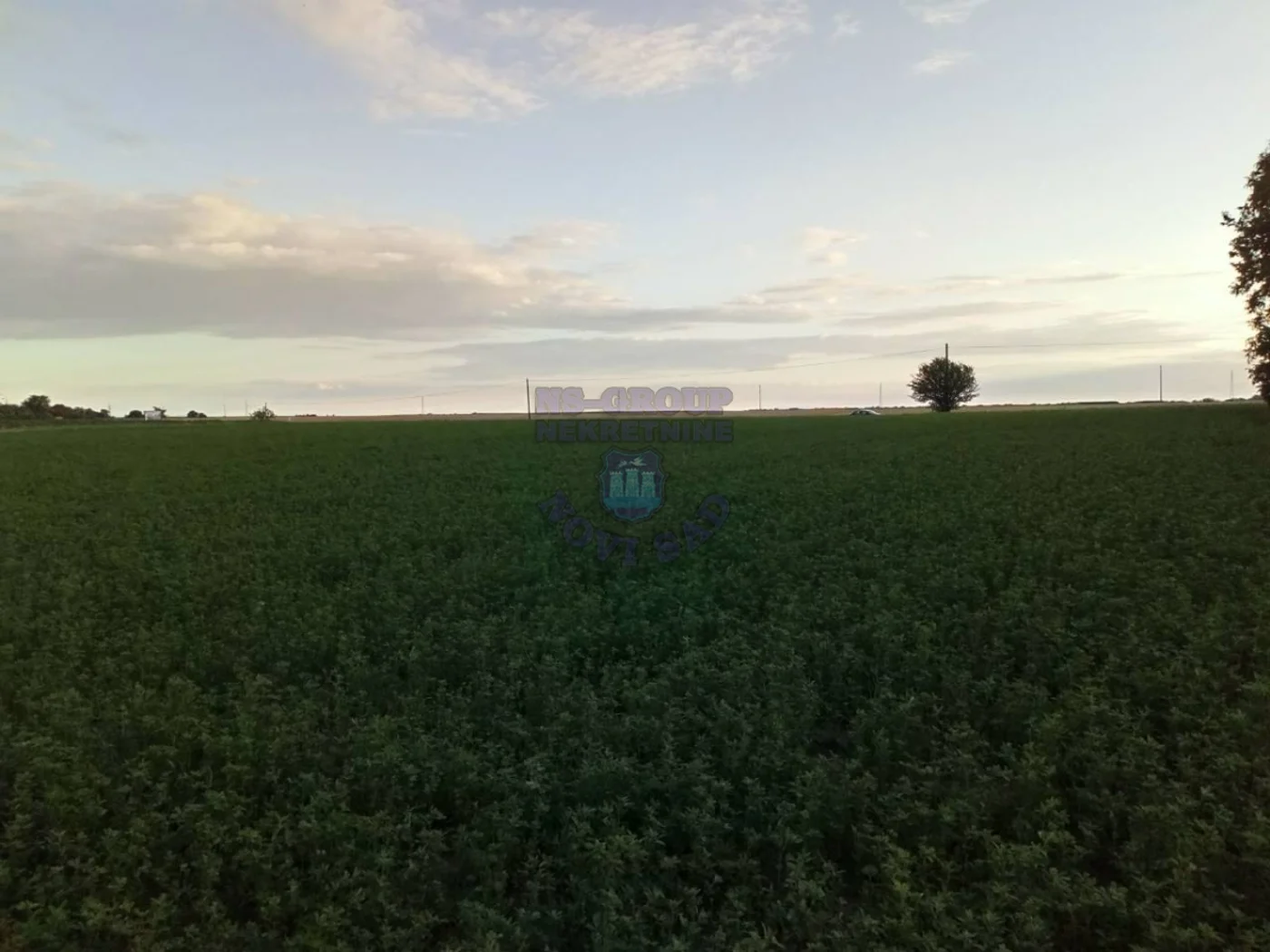 plac na prodaju Inđija 6995m2 418859