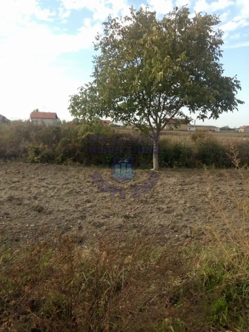 plac na prodaju Novi Sad 4000m2 423224