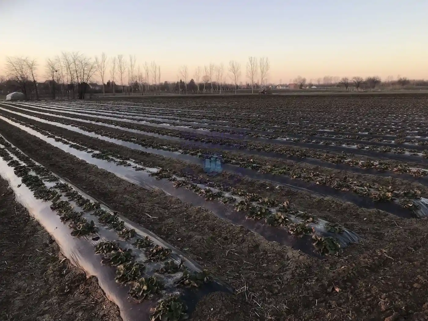 plac na prodaju Novi Sad, 2208m2 440307