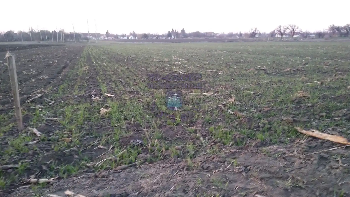plac na prodaju Novi Sad 1372m2 440311