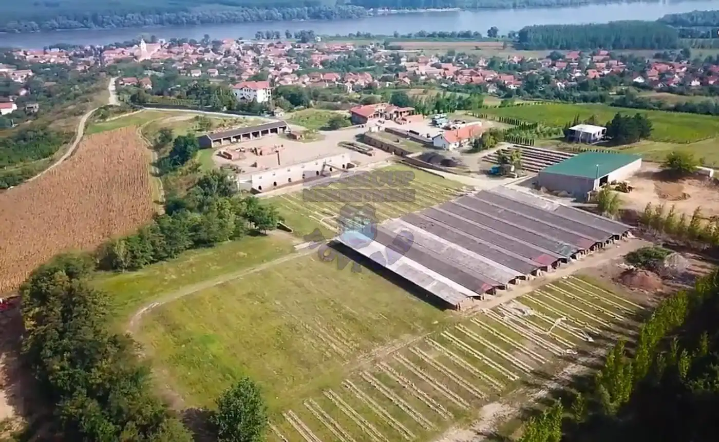 plac na prodaju Čerević 1085m2 447655