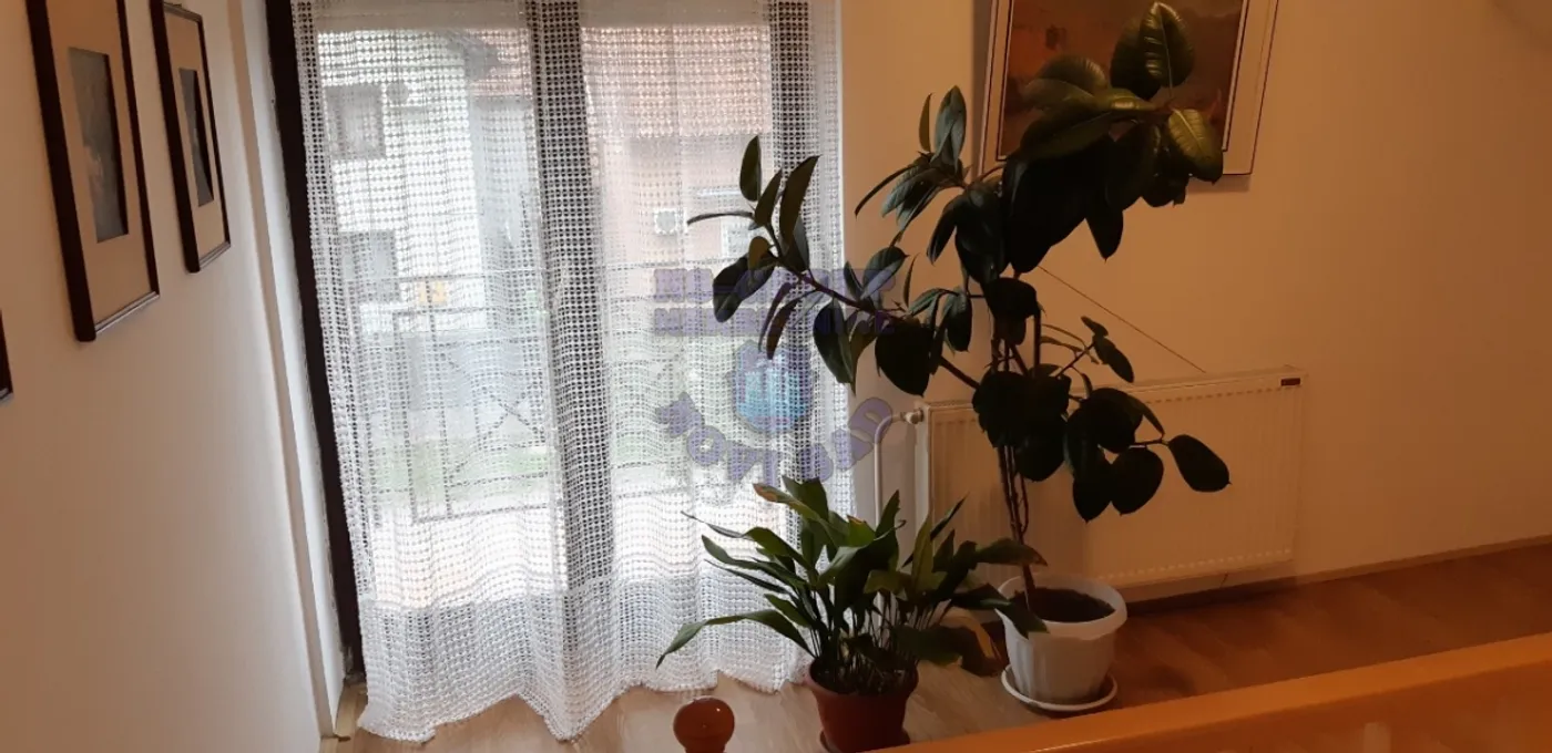 kuca na prodaju Novi Sad 200m2 448324