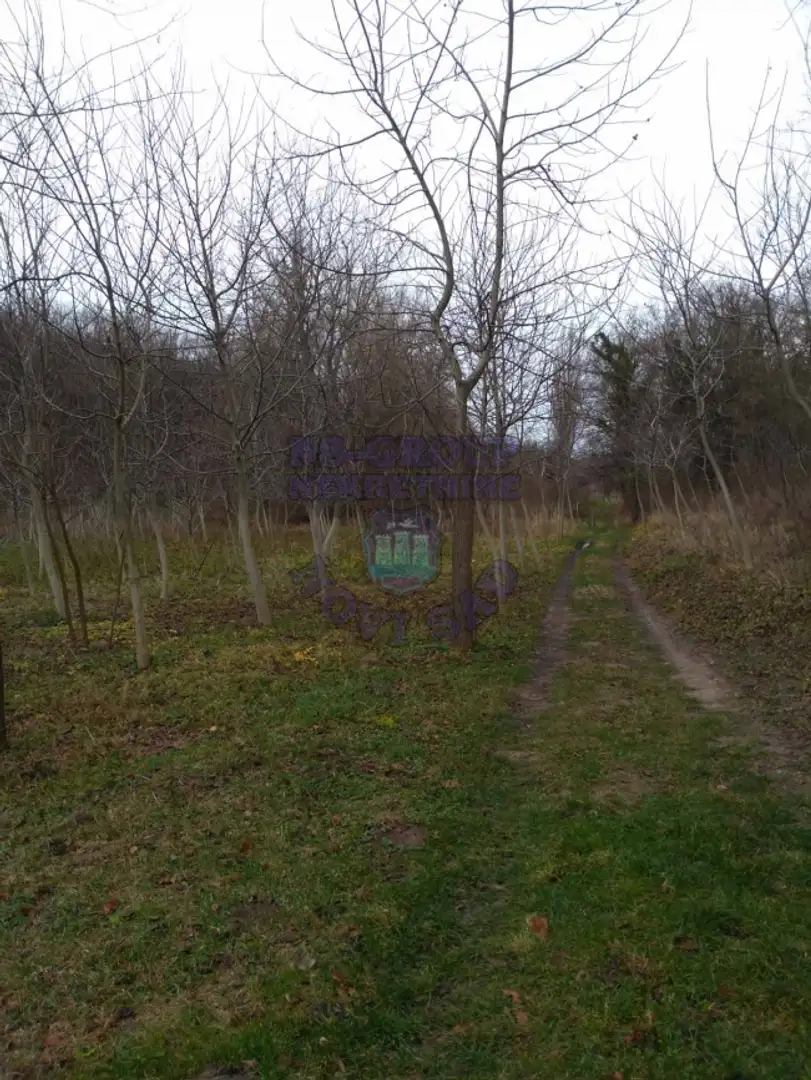 plac na prodaju Sremska Kamenica, 3000m2 449192