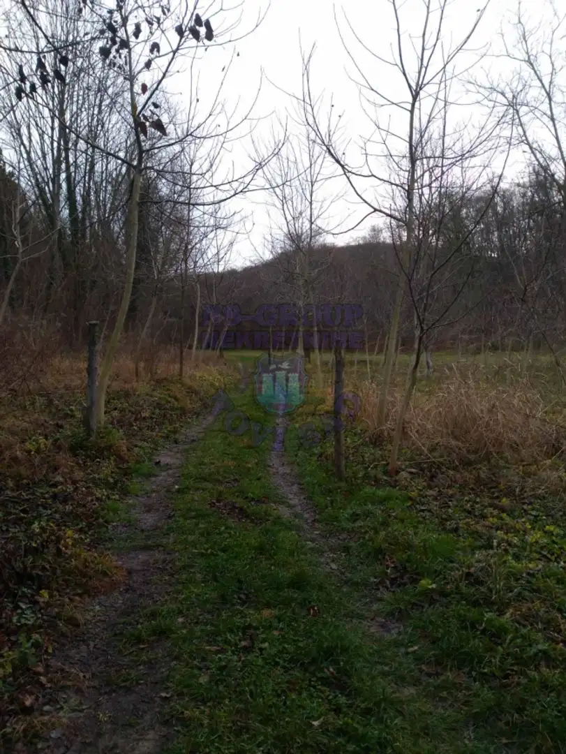 plac na prodaju Sremska Kamenica 4500m2 449290