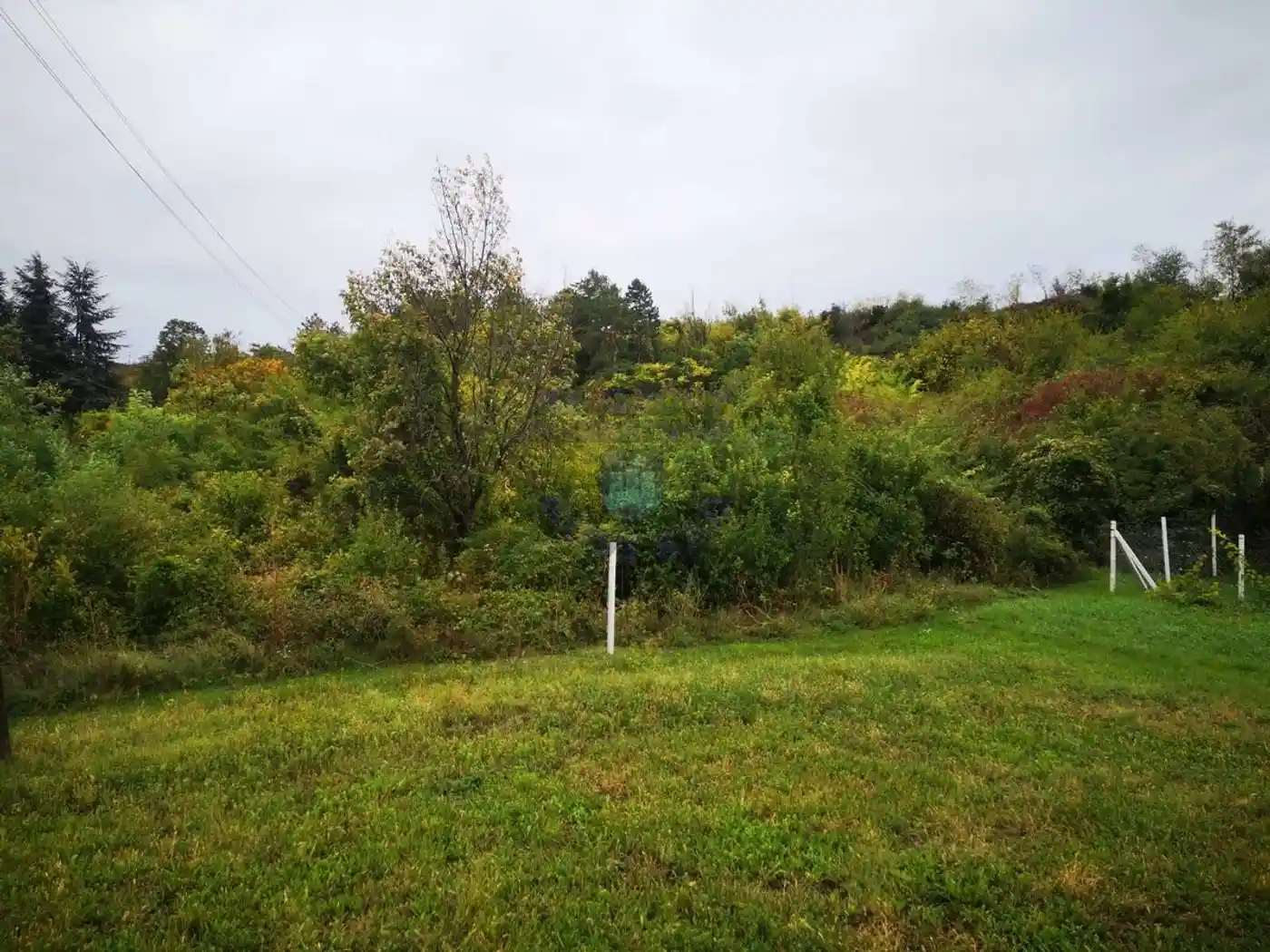 plac na prodaju Sremski Karlovci, 2714m2 454394