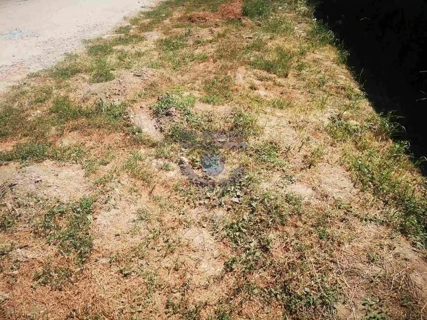 plac na prodaju Novi Sad, 548m2 457016