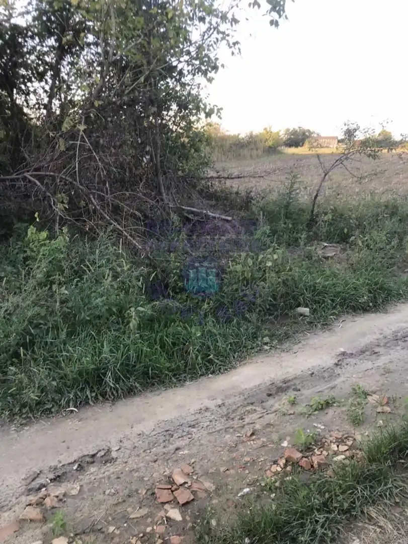 plac na prodaju Veternik, 9018m2 457860