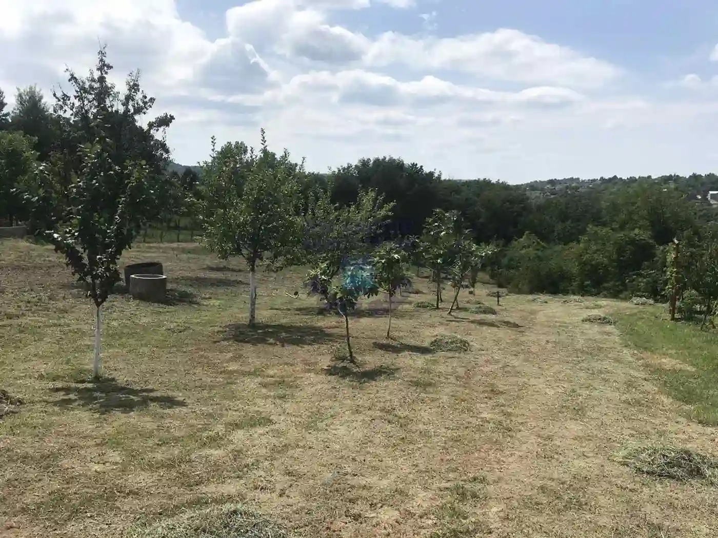 plac na prodaju Sremska Kamenica, 3189m2 458253