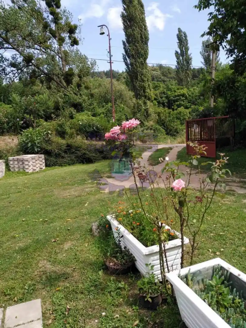 kuca na prodaju Vrdnik 336m2 459328