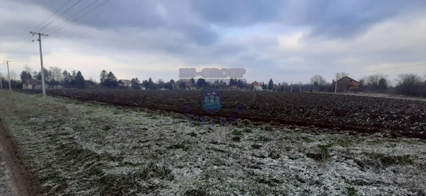 plac na prodaju Čortanovci, 6593m2 468894