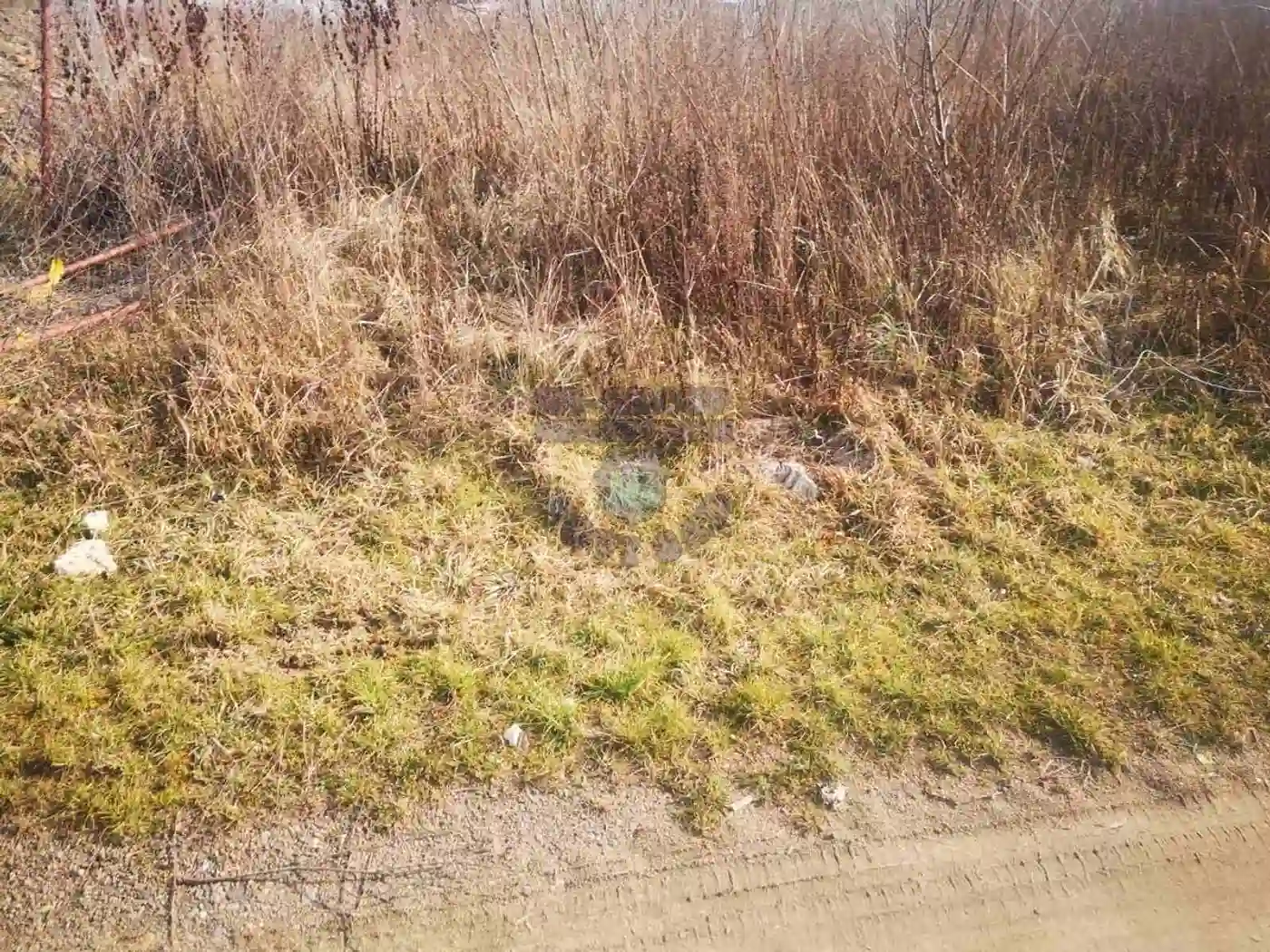 plac na prodaju Veternik, 545m2 469102