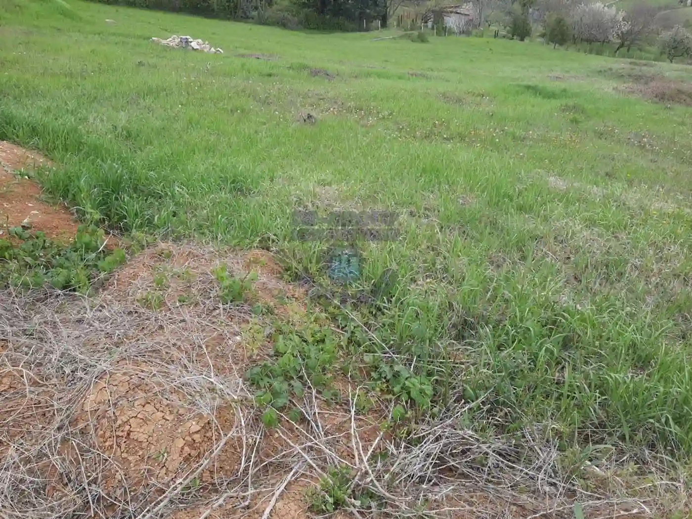 plac na prodaju Sremska Kamenica 1791m2 472285