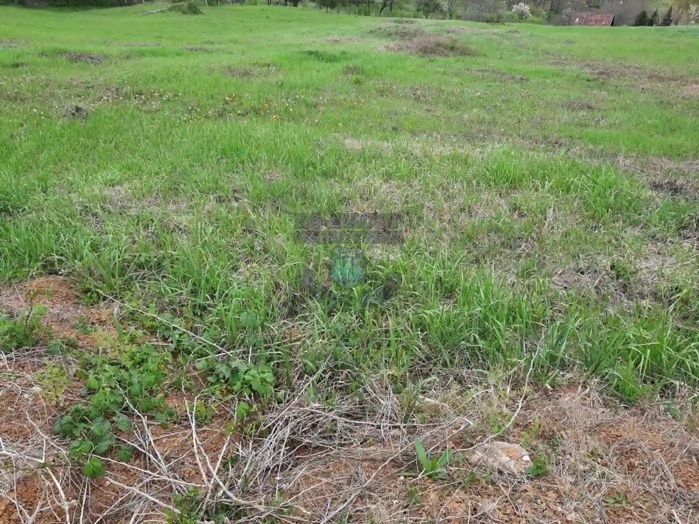 plac na prodaju Sremska Kamenica 1791m2 472285