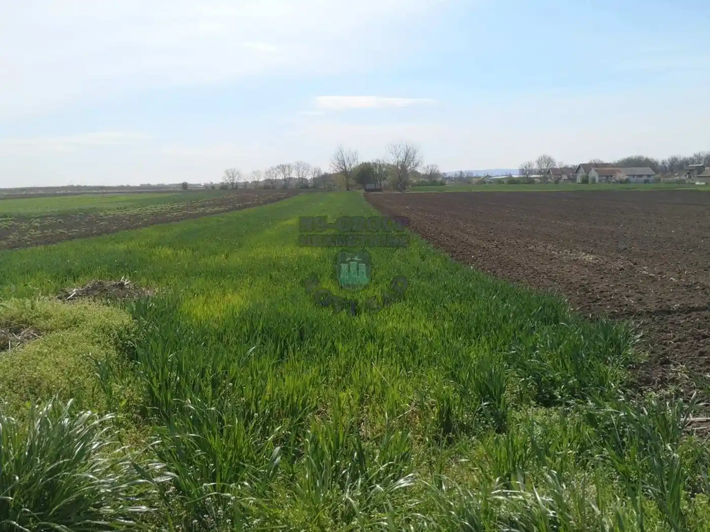 plac na prodaju Rumenka 1221m2 472467
