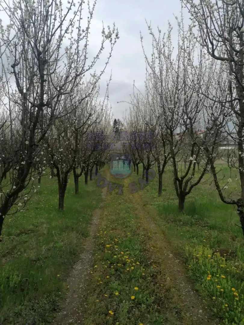 plac na prodaju Vrdnik 1003m2 472630