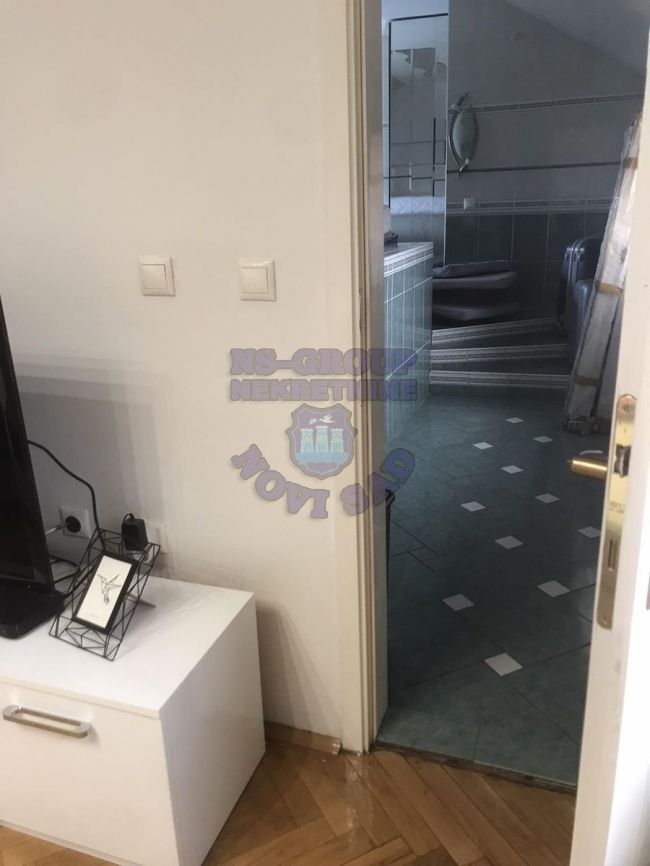 stan na prodaju Novi Sad 240m2 472914