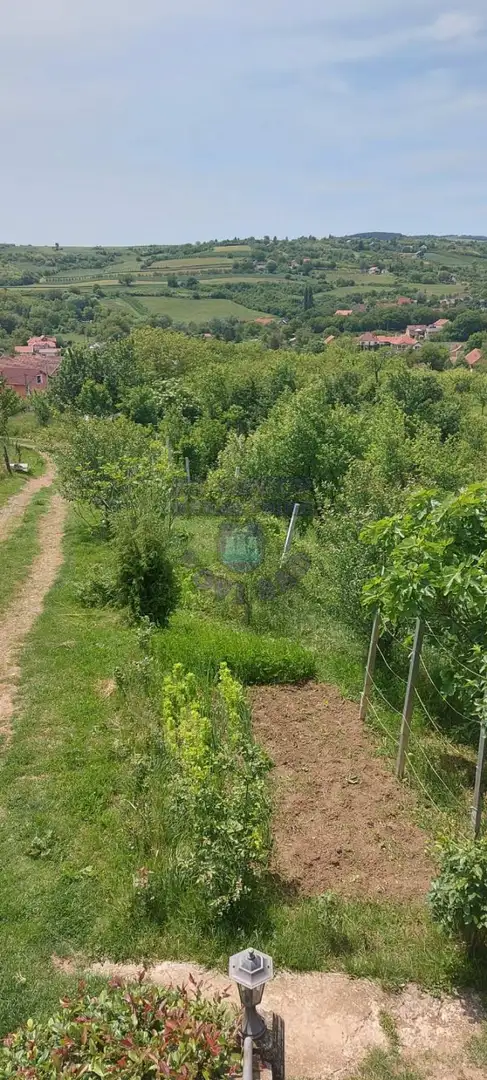 plac na prodaju Vrdnik 5137m2 474724