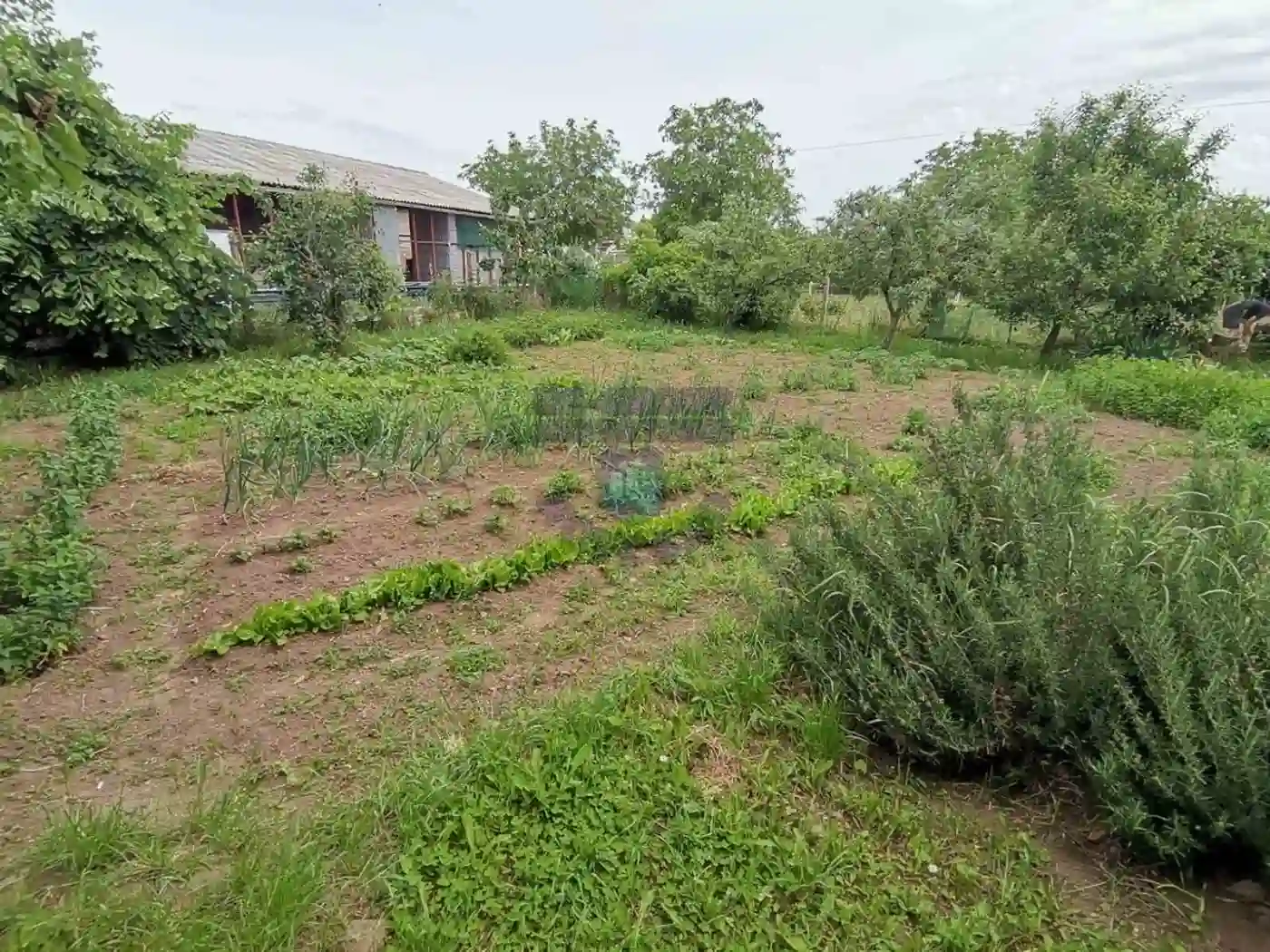 kuca na prodaju Sremski Karlovci 133m2 474760