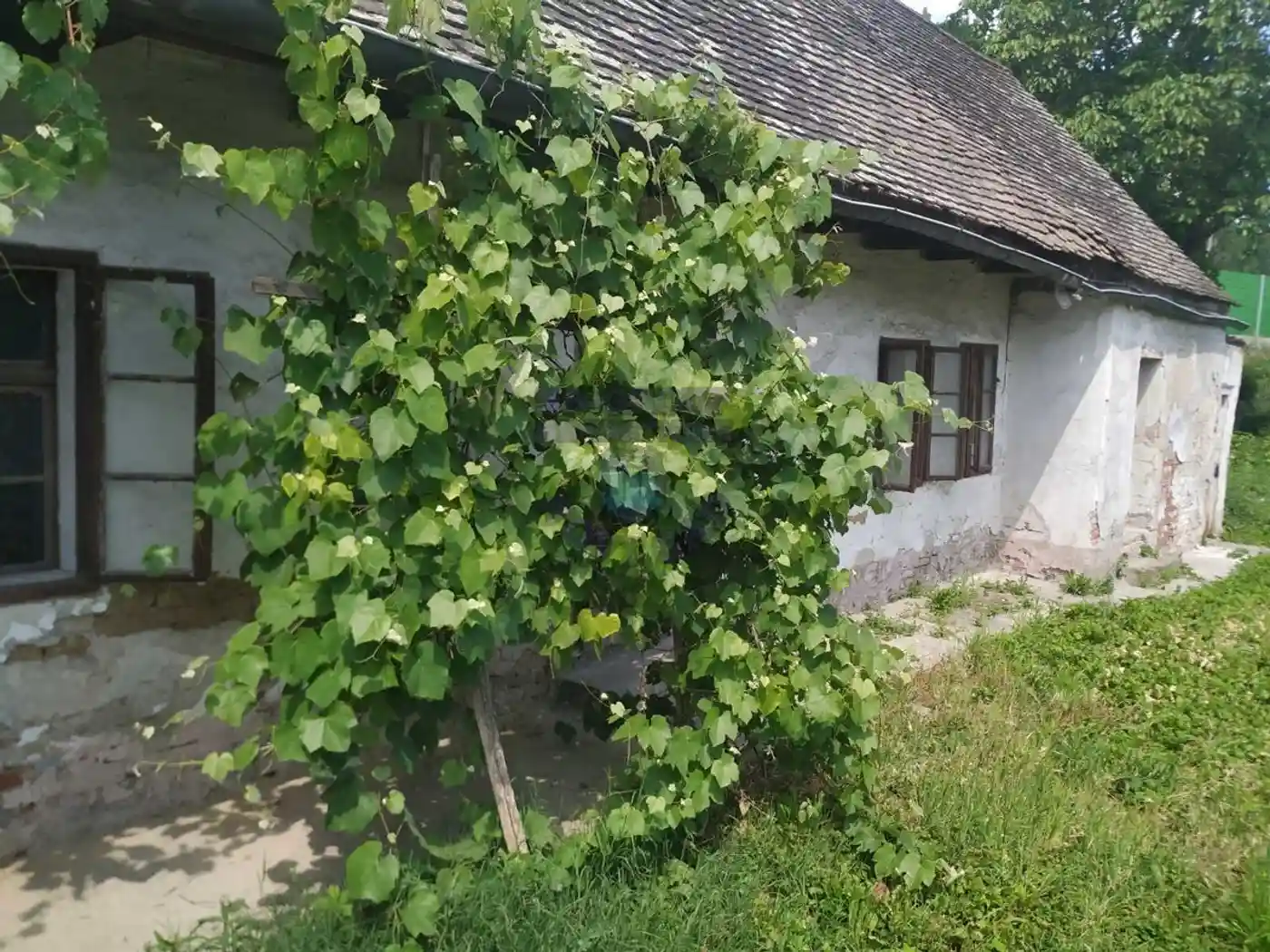 kuca na prodaju Petrovaradin, 70m2 475341