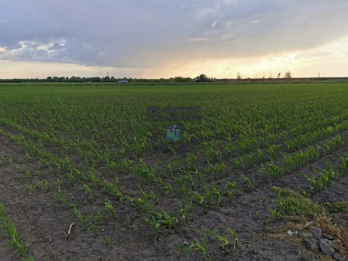 plac na prodaju Rumenka, 11785m2 477212