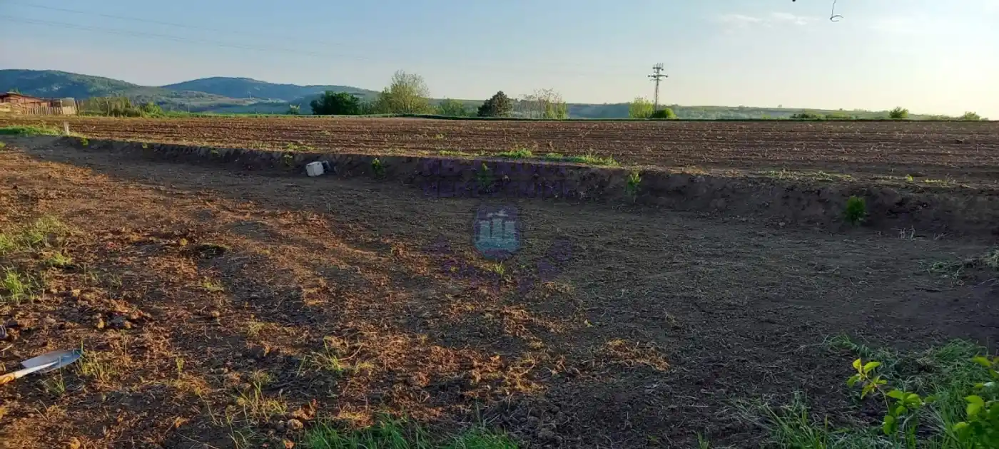 plac na prodaju Čerević 1383m2 477580