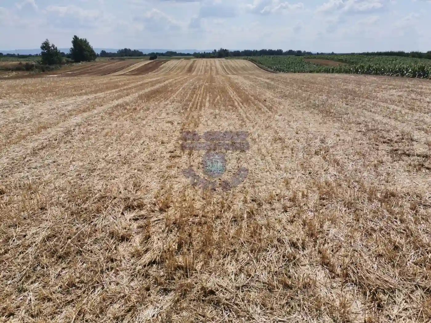 plac na prodaju Kać, 5869m2 477714