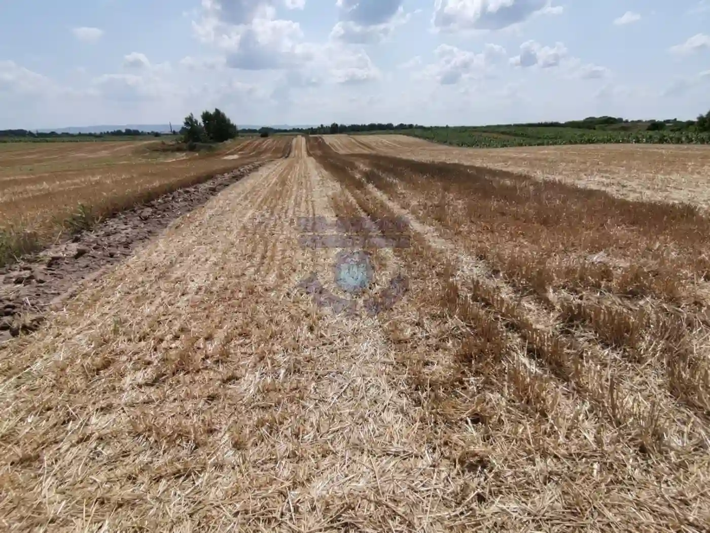 plac na prodaju Kać, 5773m2 477720