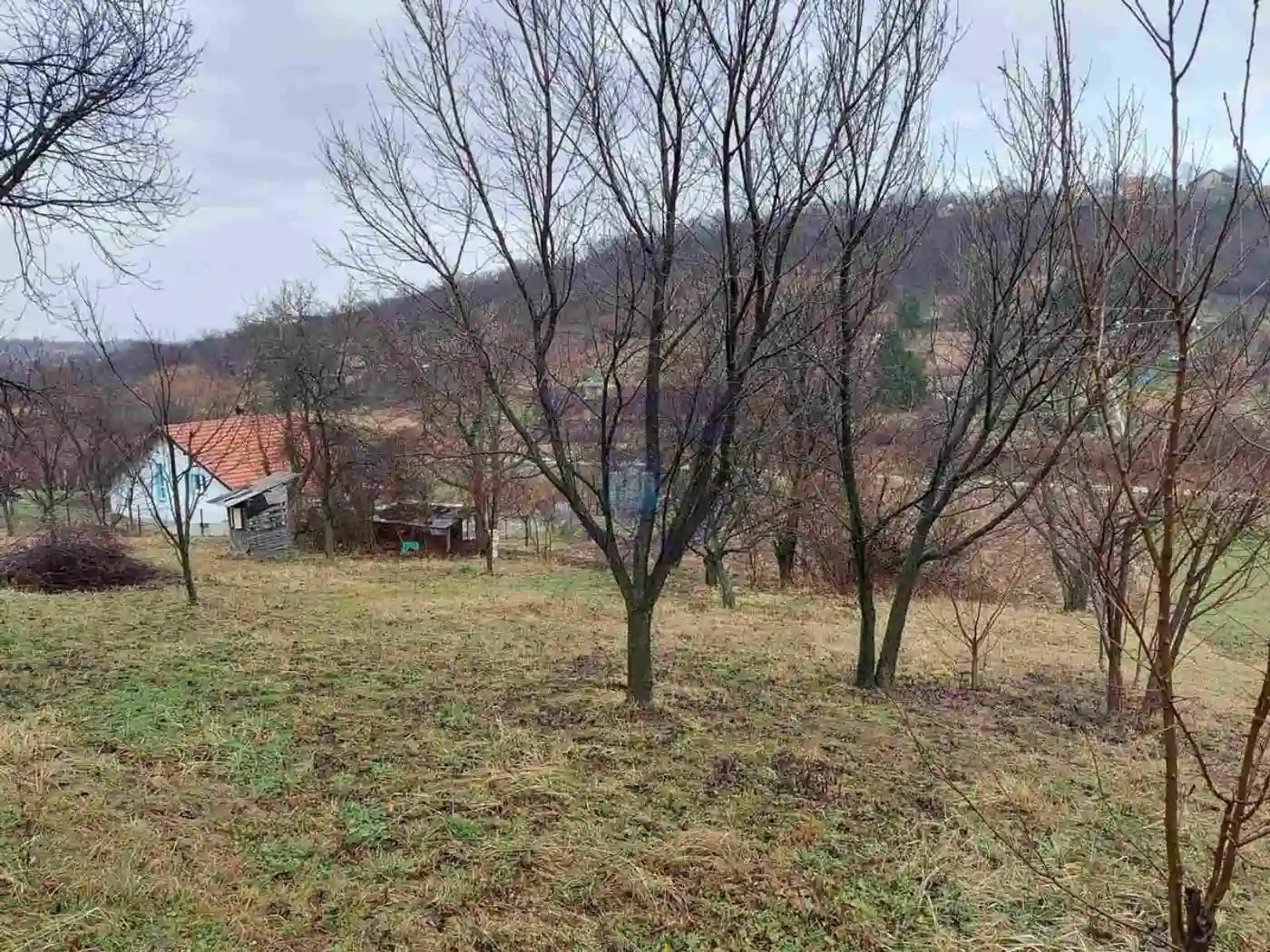 plac na prodaju Sremska Kamenica 3900m2 477932