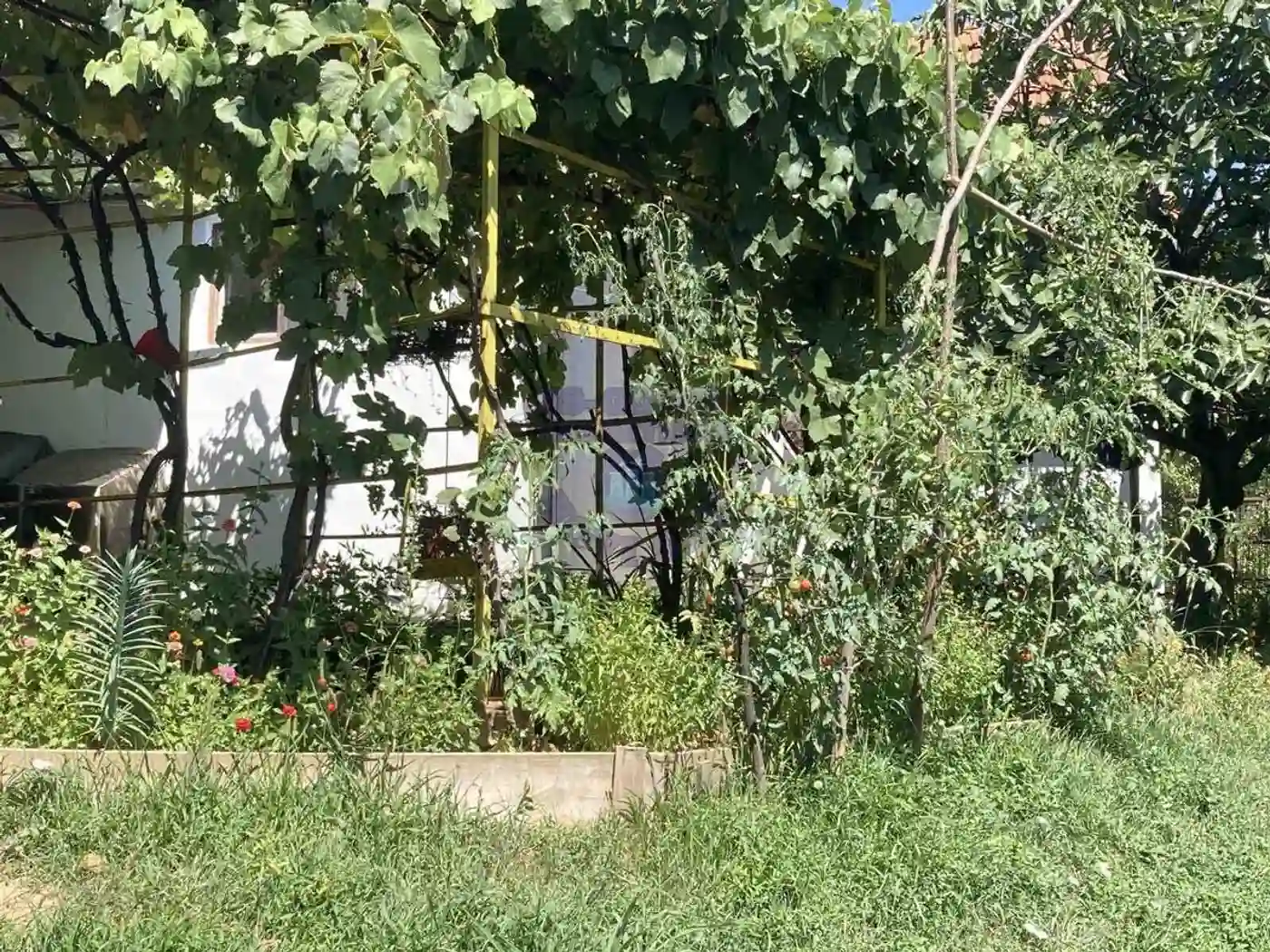 kuca na prodaju Sremska Kamenica 75m2 445804